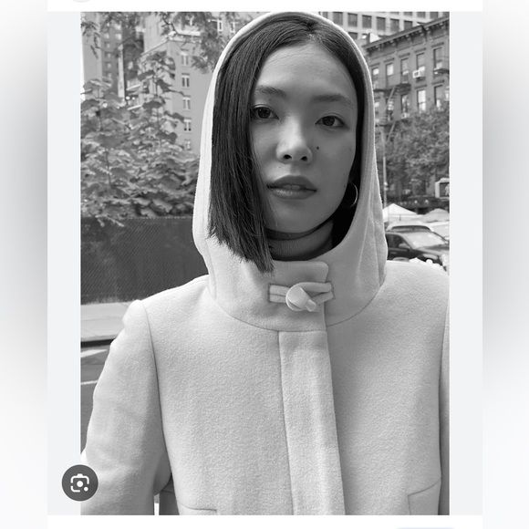 Aritzia Wool Hooded Coat - Picture 9 of 12